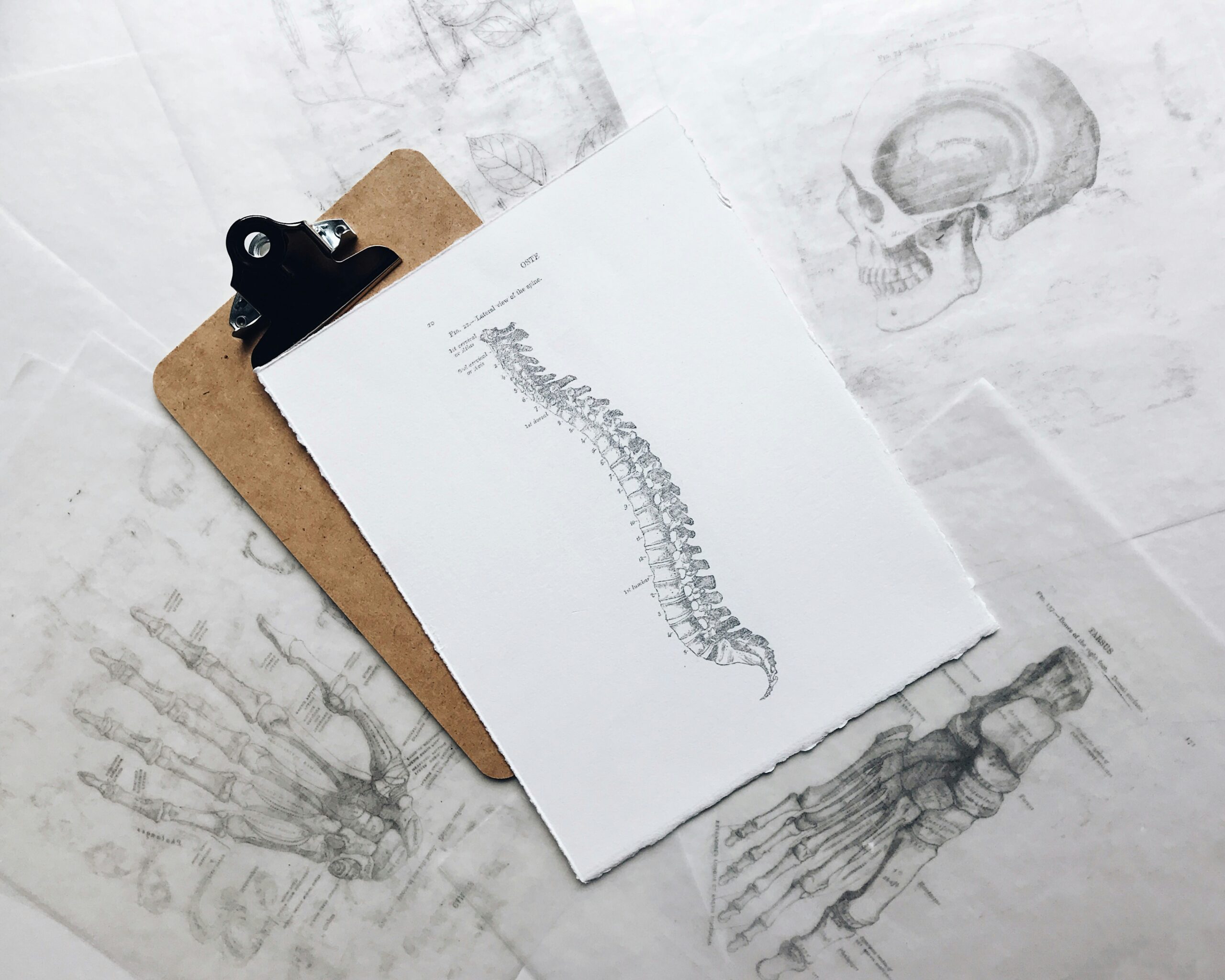 Scoliosis Osteopathy